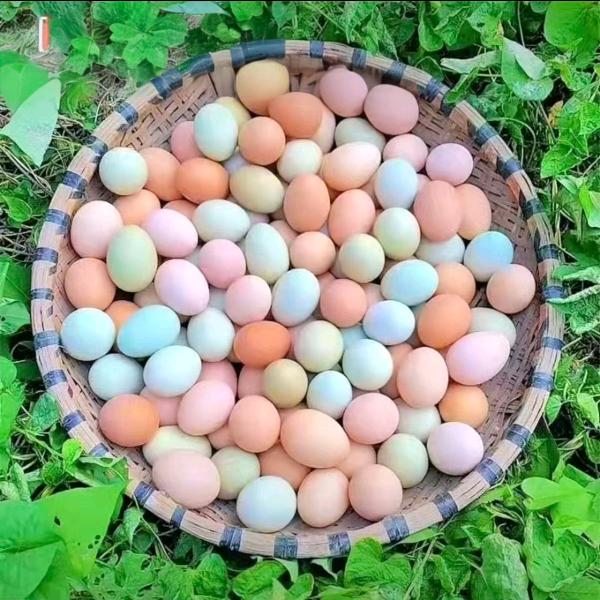 伏牛山优质农副产品