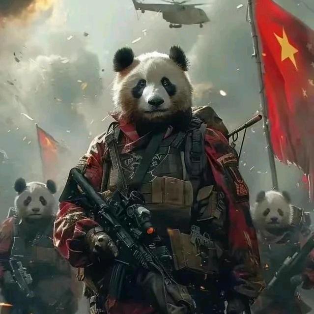 终是庄周梦了蝶  你是恩赐也是劫