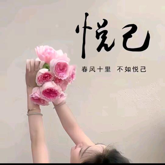 微风🌺