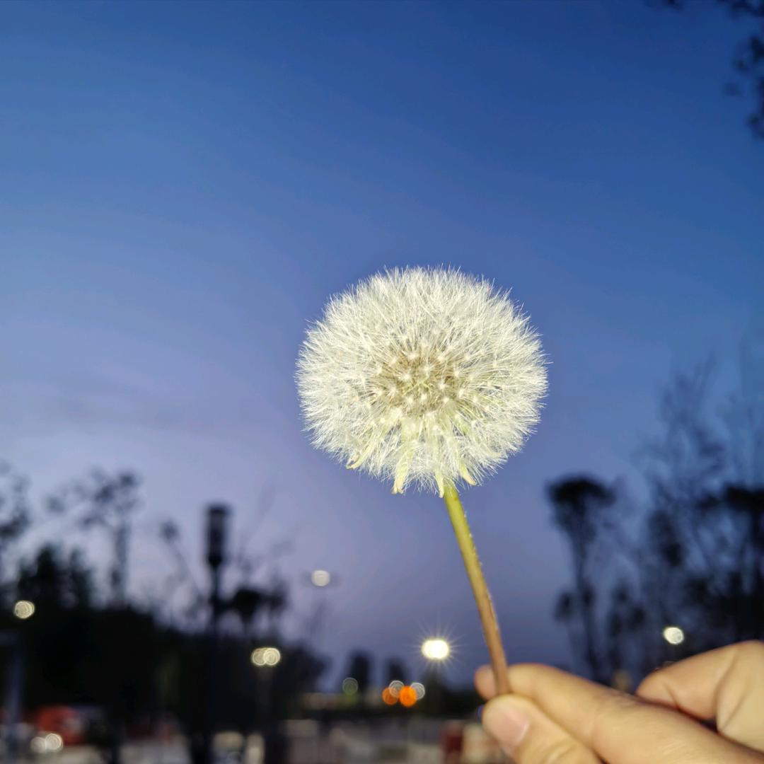 谁还不是个宝宝