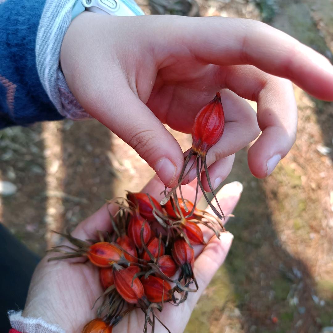 唯阳暖心