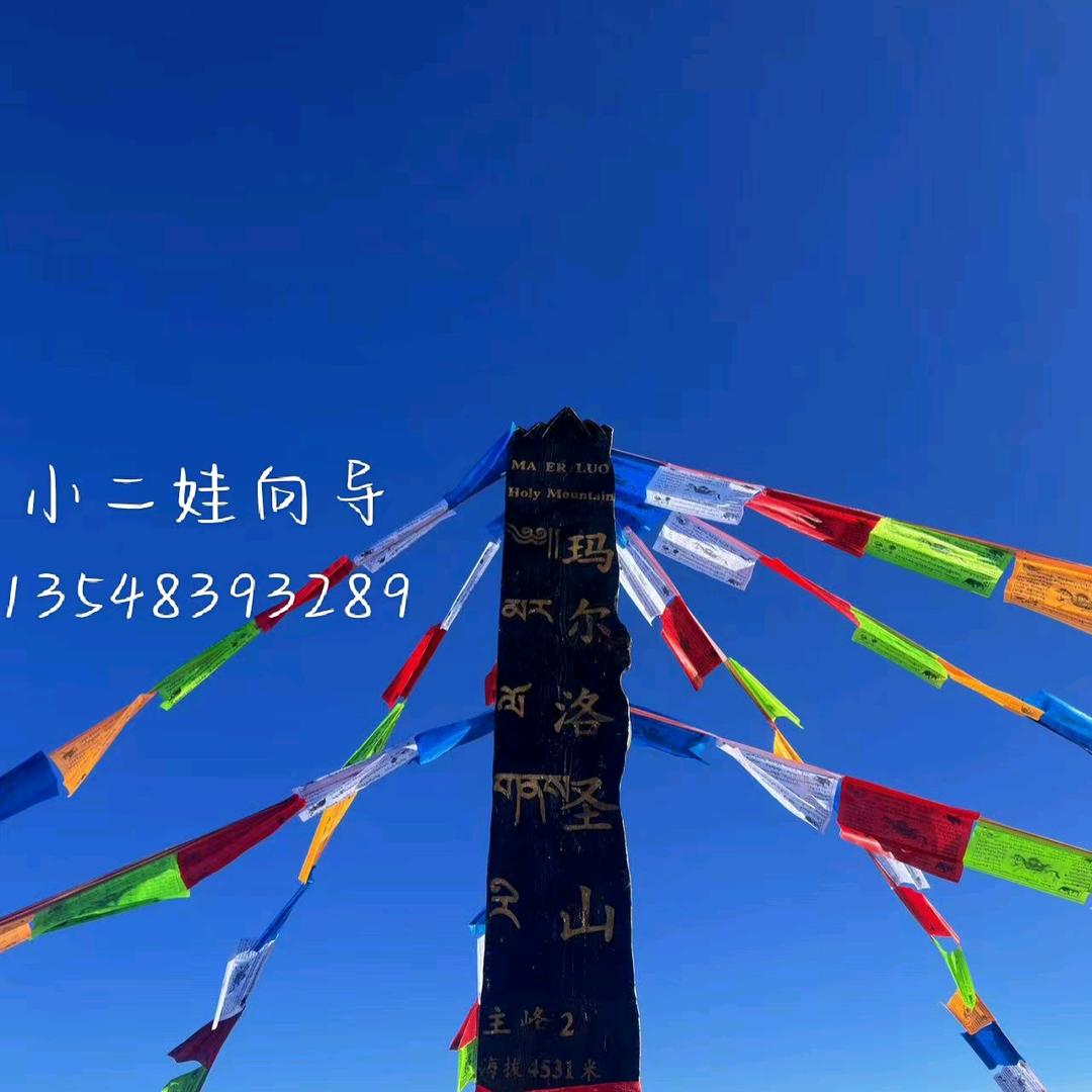小二娃向导