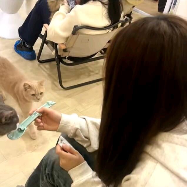 🐶🐶(歼灭主页有码)