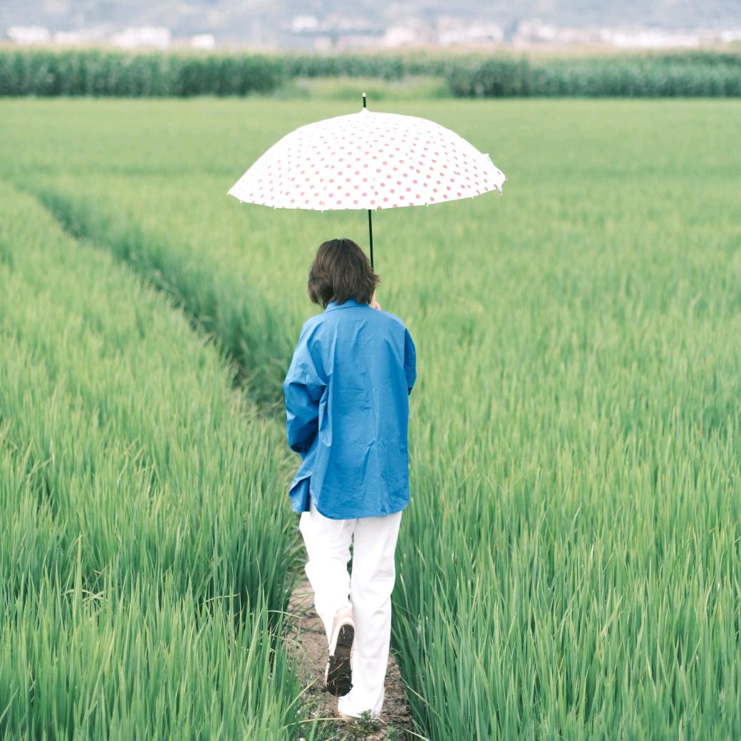 雪顶可可❤️❤️