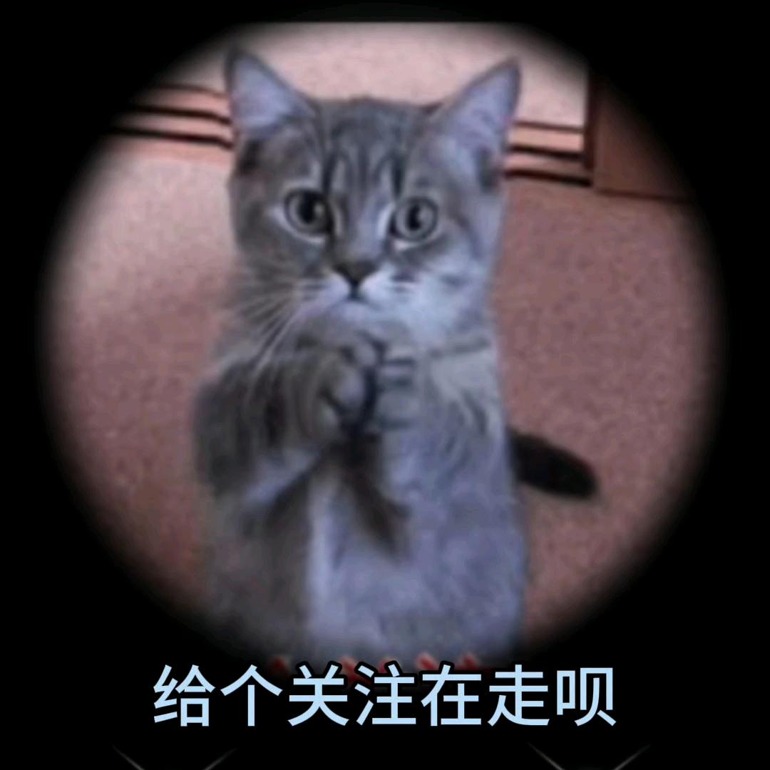 心晴