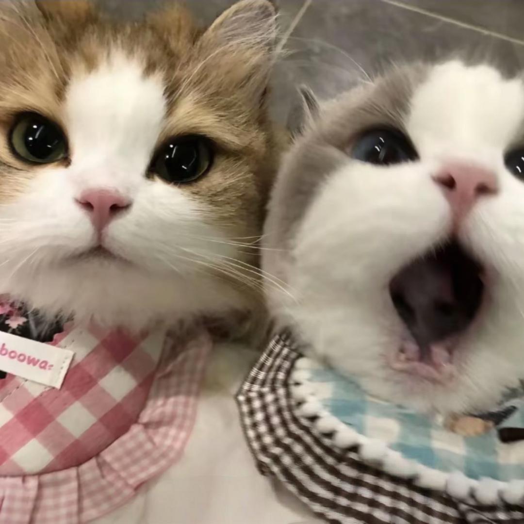 &睡睡