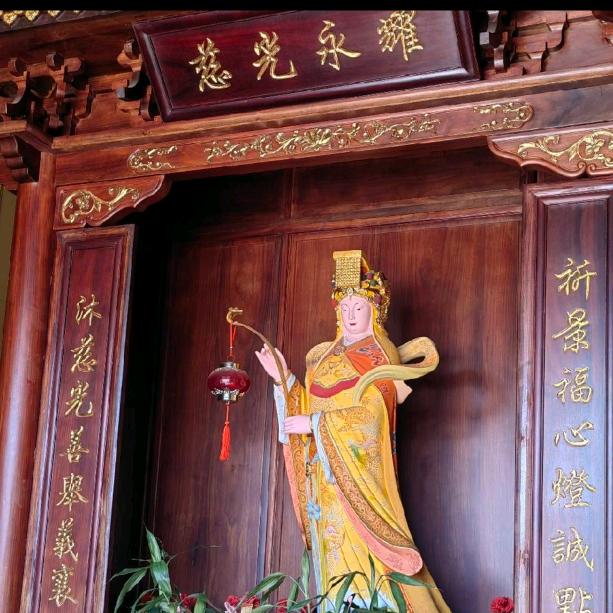 糖芯姐-橱窗有好物