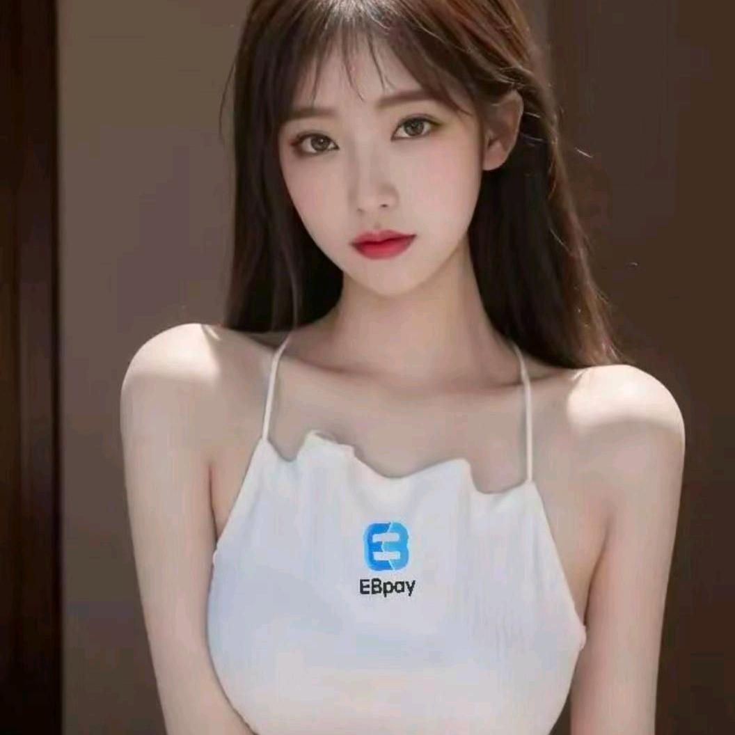 E齐晟商行bpay