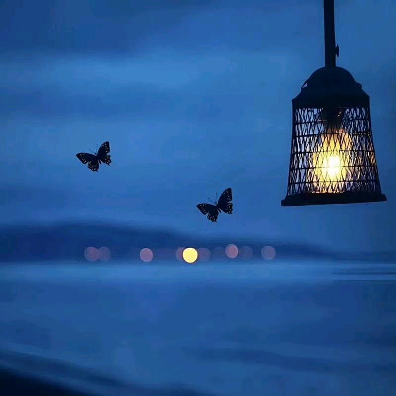 凯里复读有有老师