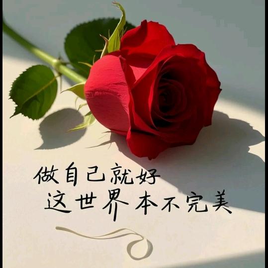 遇见最好的自己