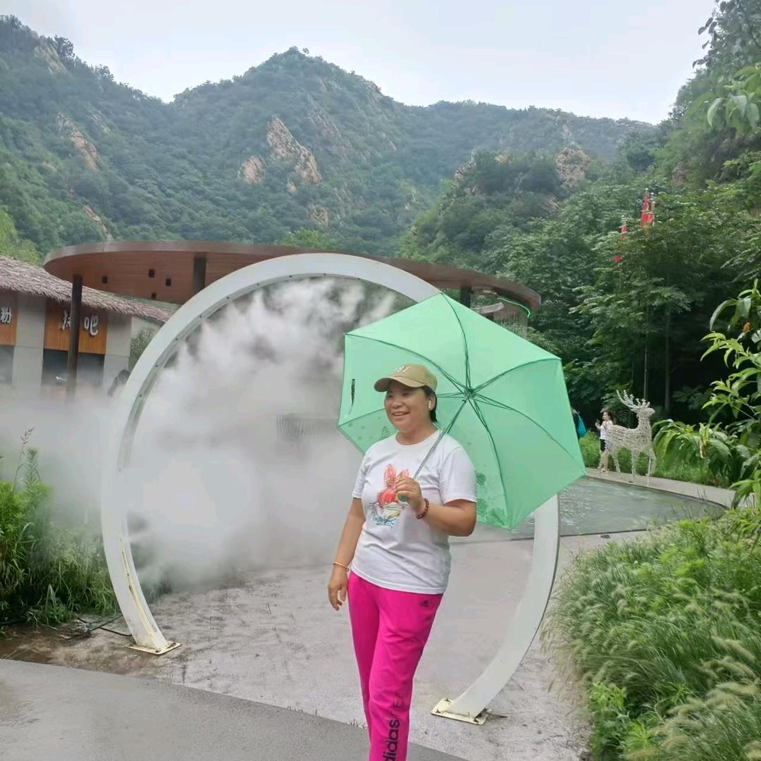 自由飞翔