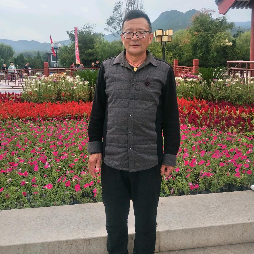 老杨哥