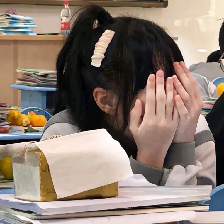 °小灰崽°