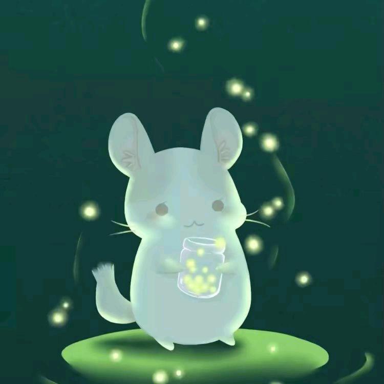 凤凰涅槃★浴火重生