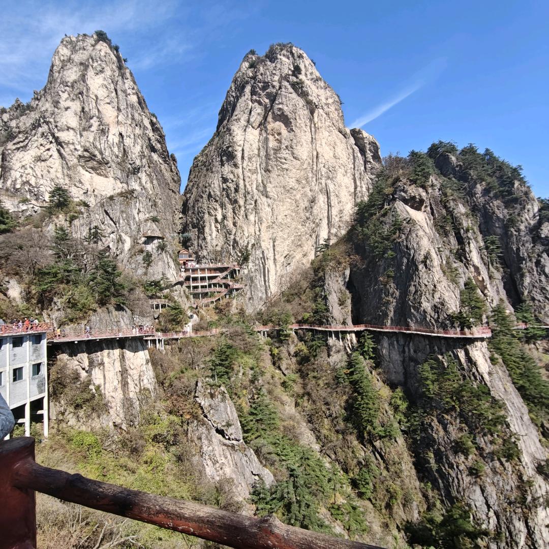科技40（小白之家）