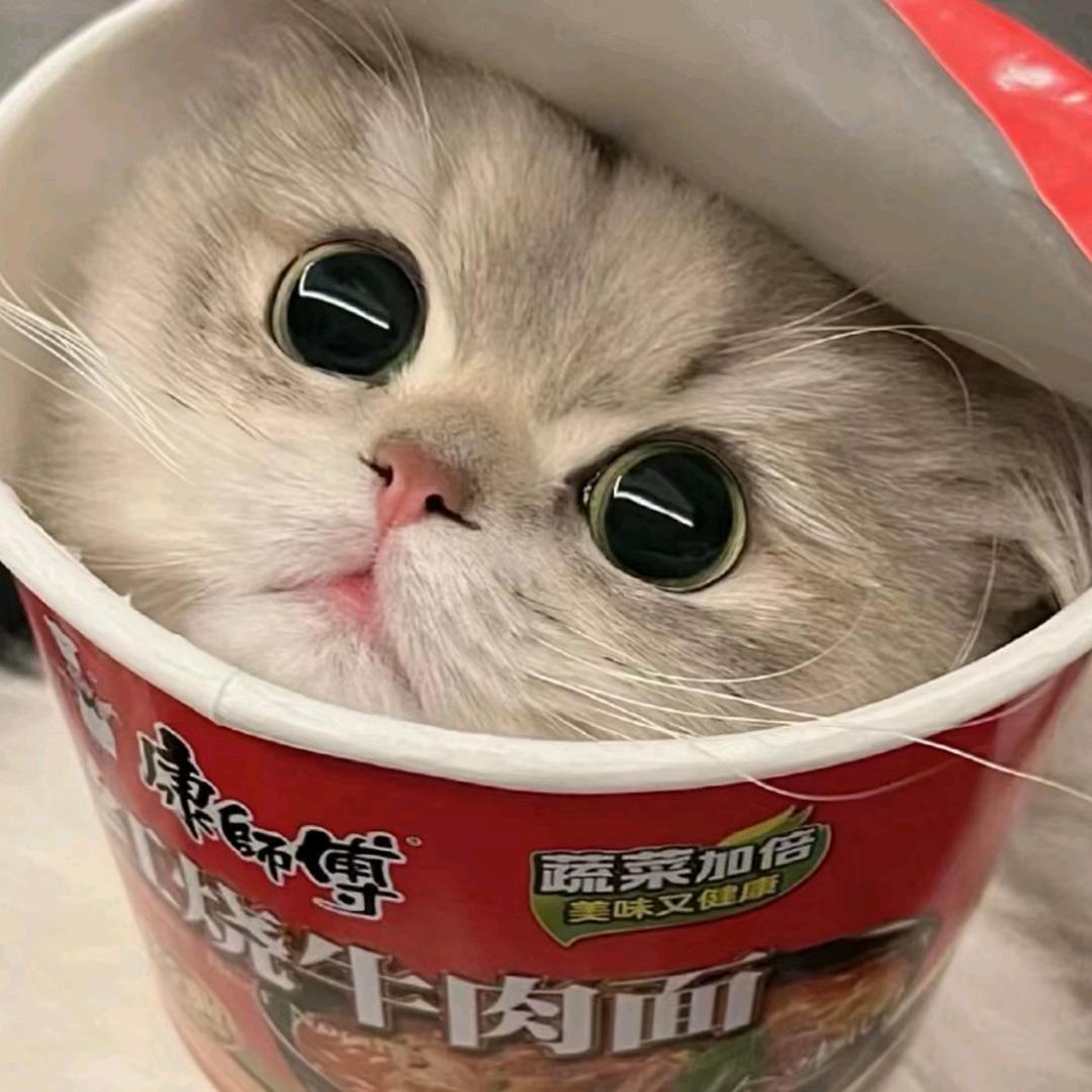 爱丽丝