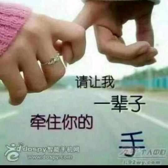 @苟琴琴@