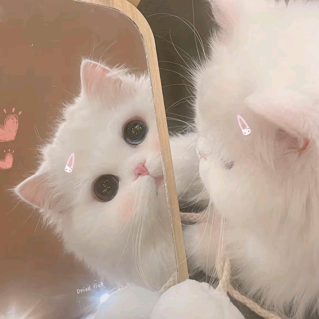 Yy