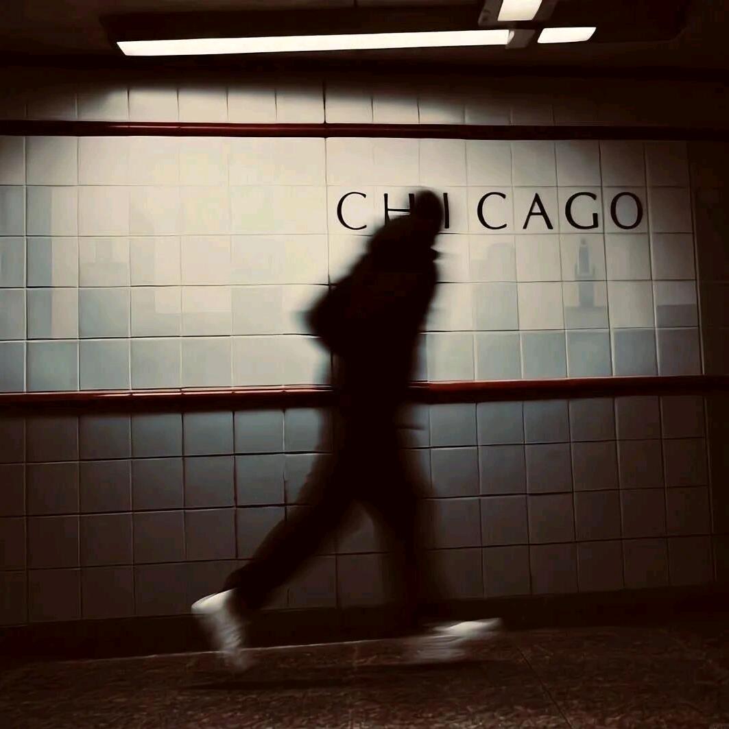 🜲杰杰杰杰🜲