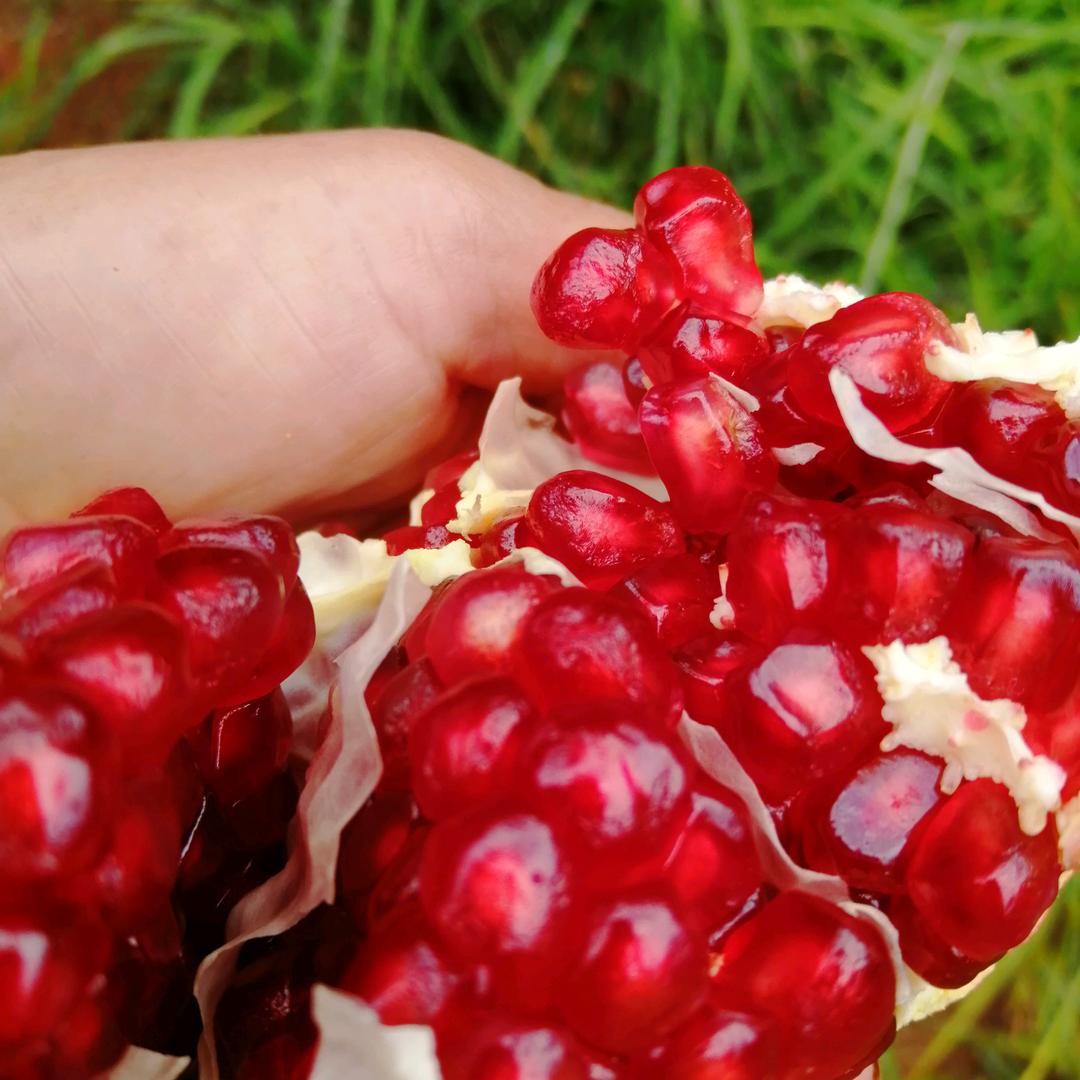 这个景色真美丽