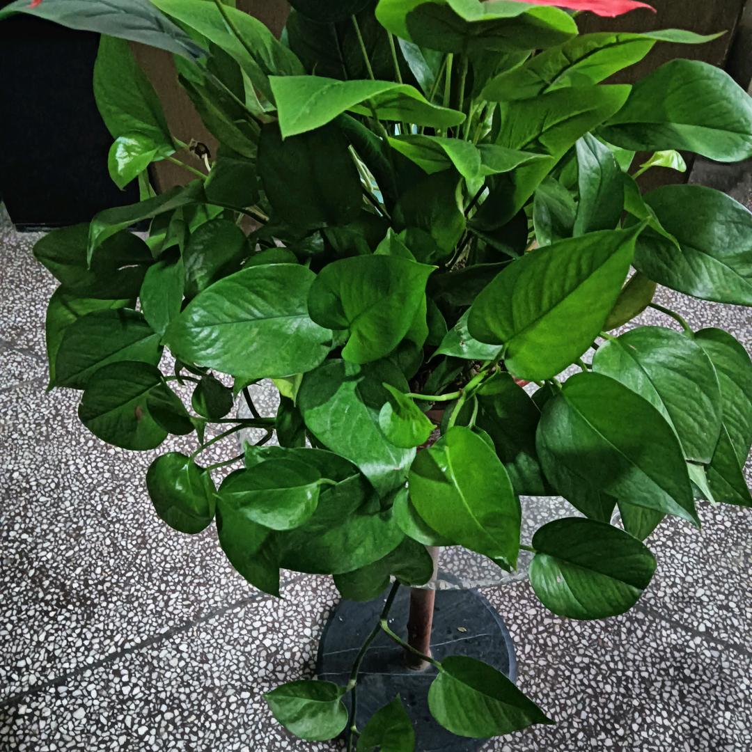 阳光。2138423832