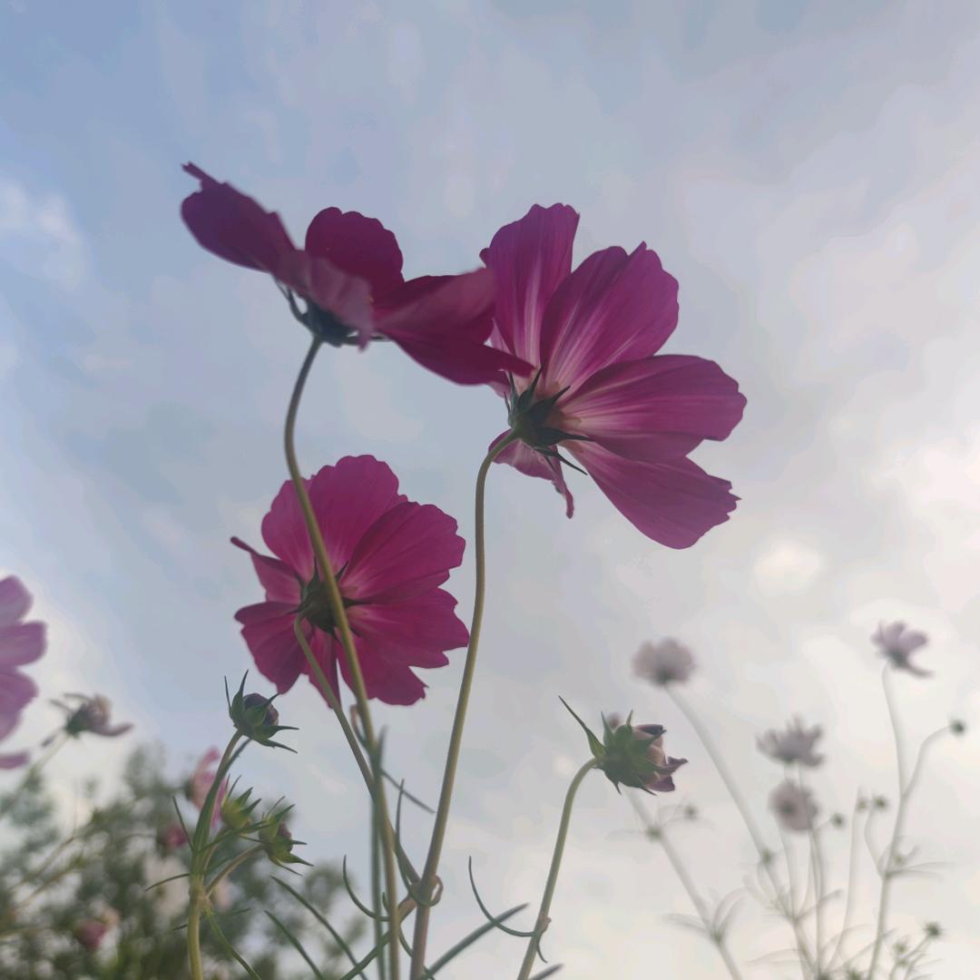 而已