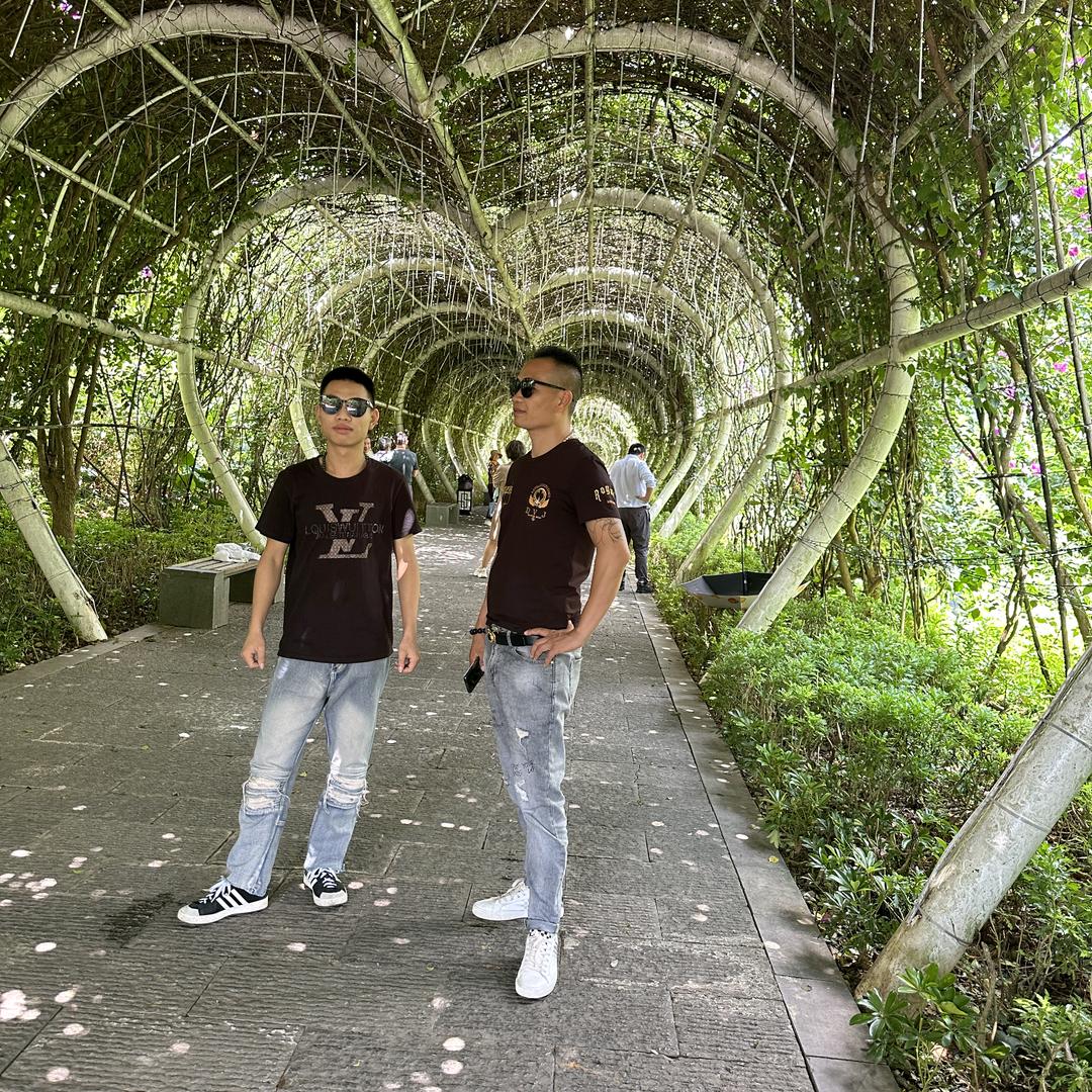 干就完了