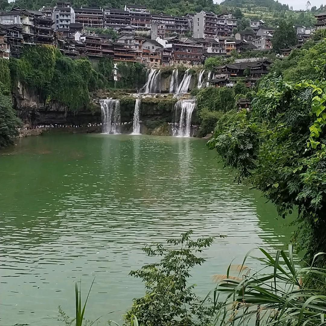 海哥