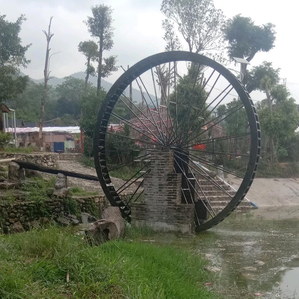 💍凤姐👜🦋🌲🌺