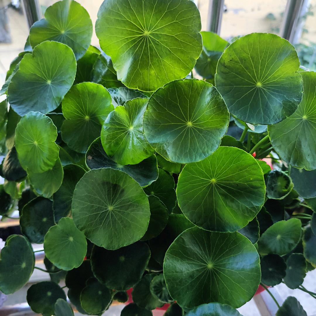 生活有苦也有甜