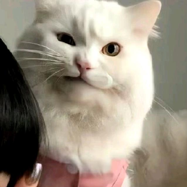 大演技