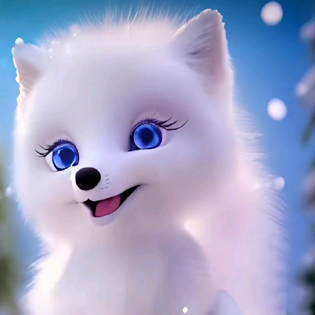 狐公子