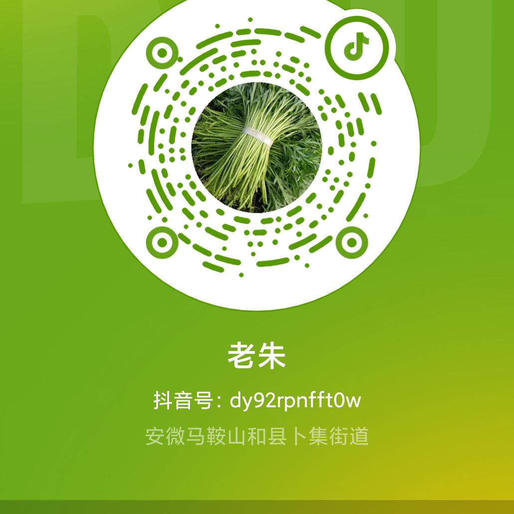 老朱