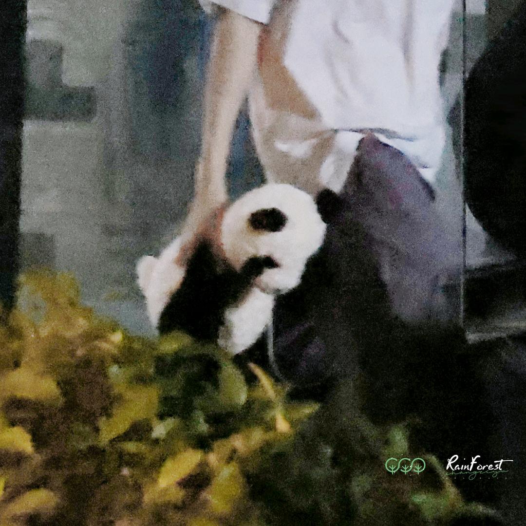 贰 玖.