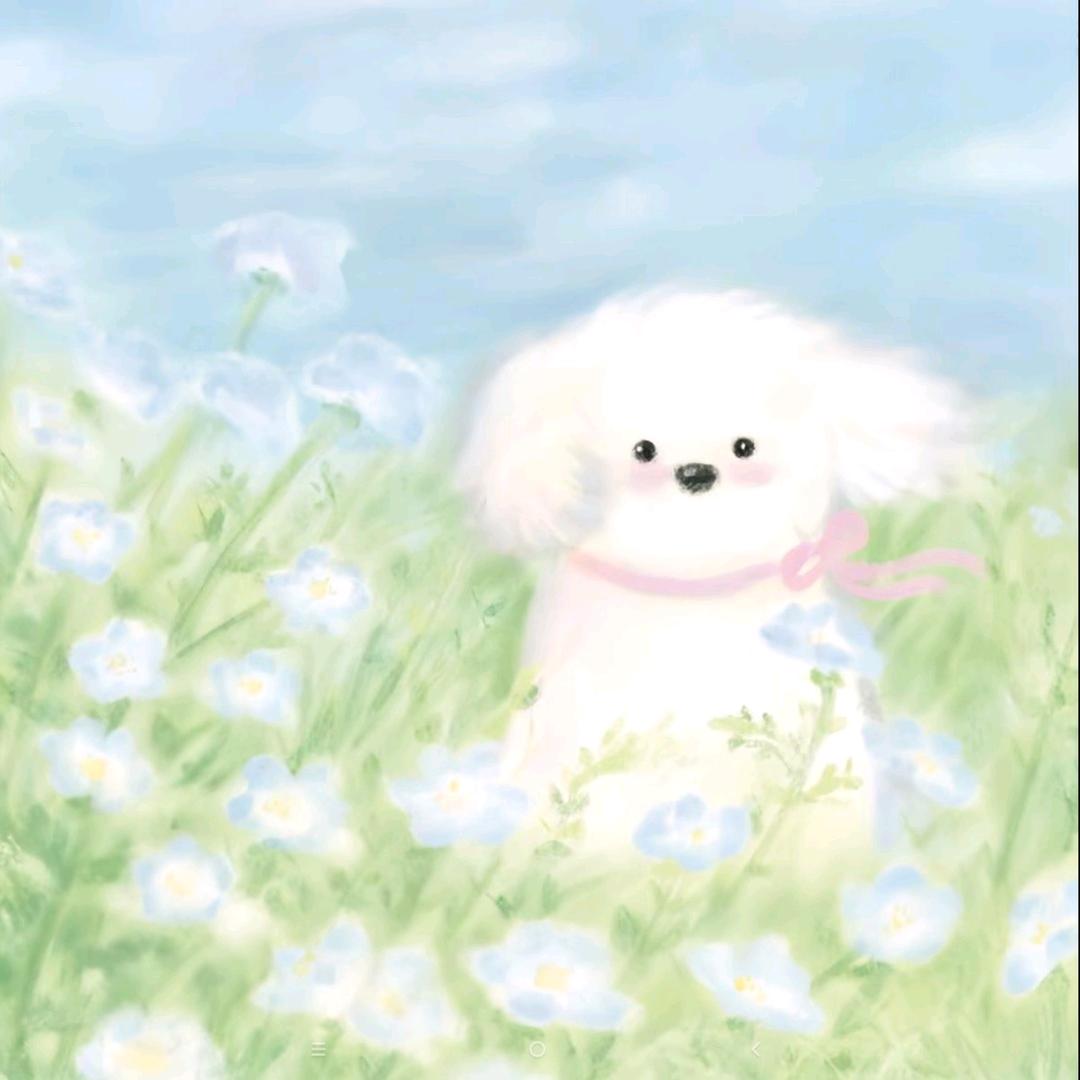 小柚子