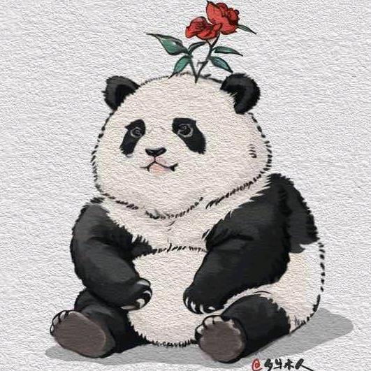 💐故事的小黄花