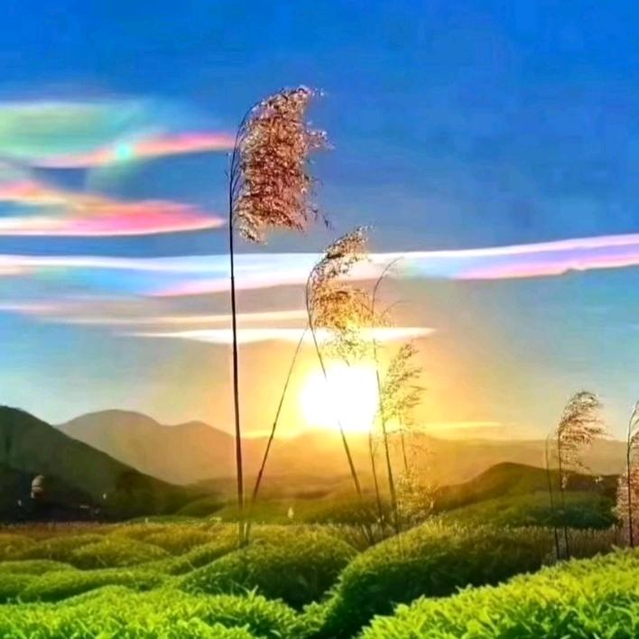 ✨治愈系💫