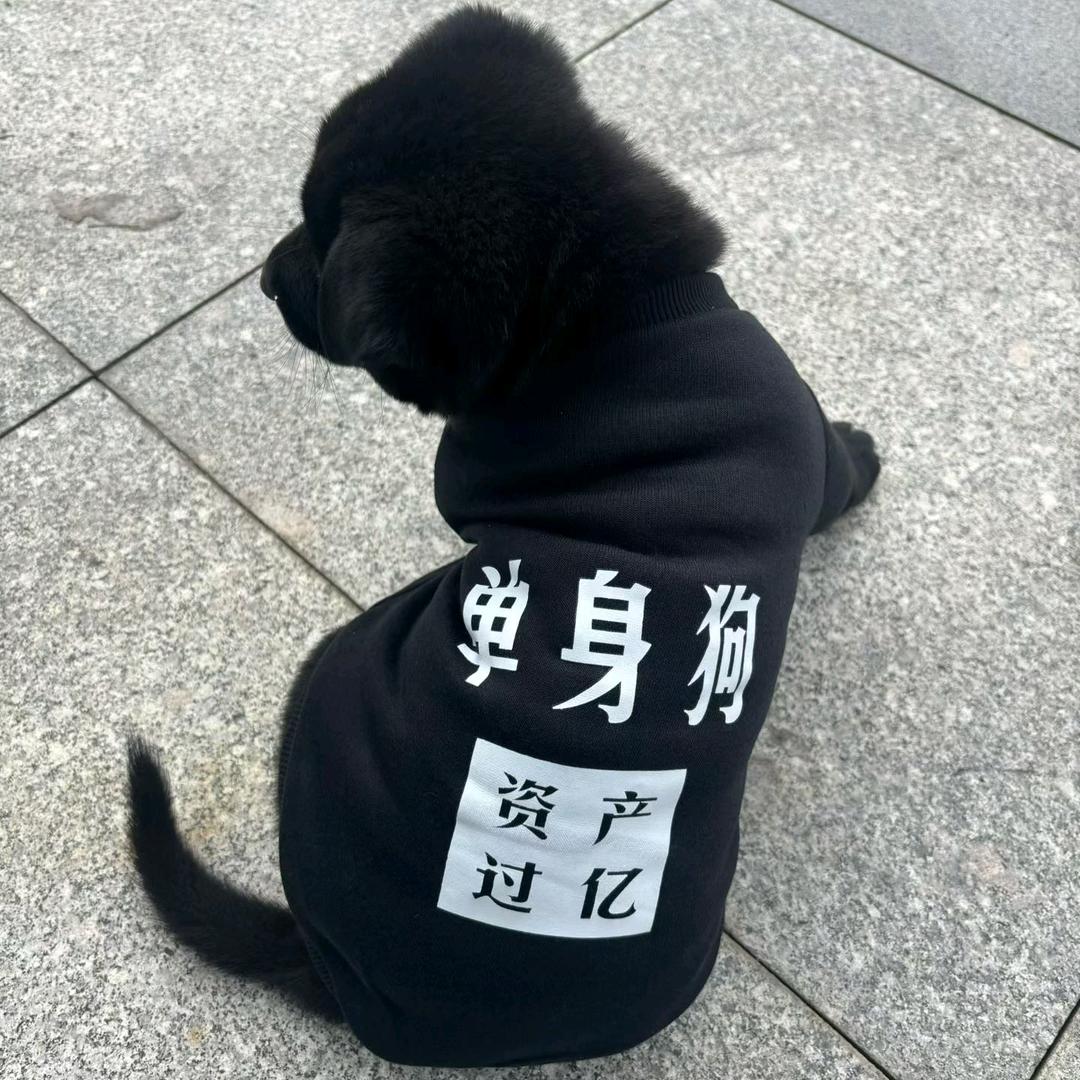.。。。。。。.