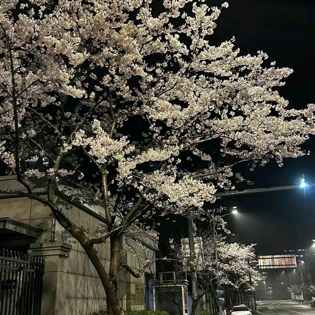 夕阳锋利