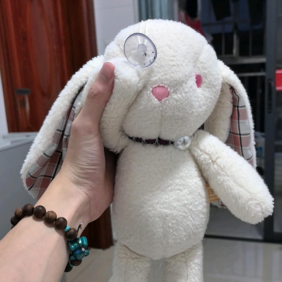 彬彬有礼的彬