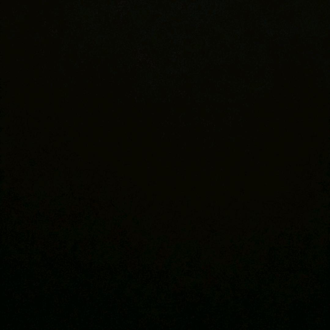 龙哥