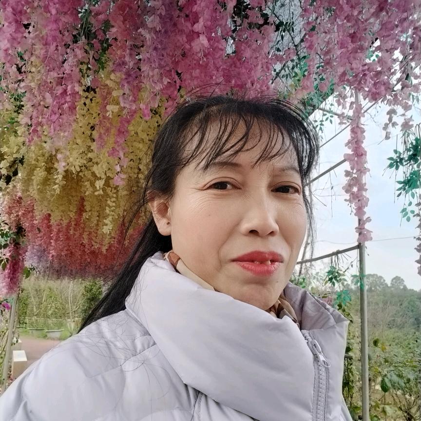菊子