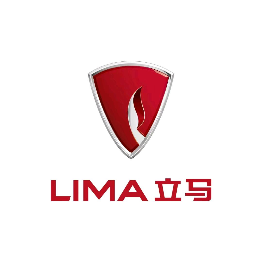 舒城立马大动力电动车