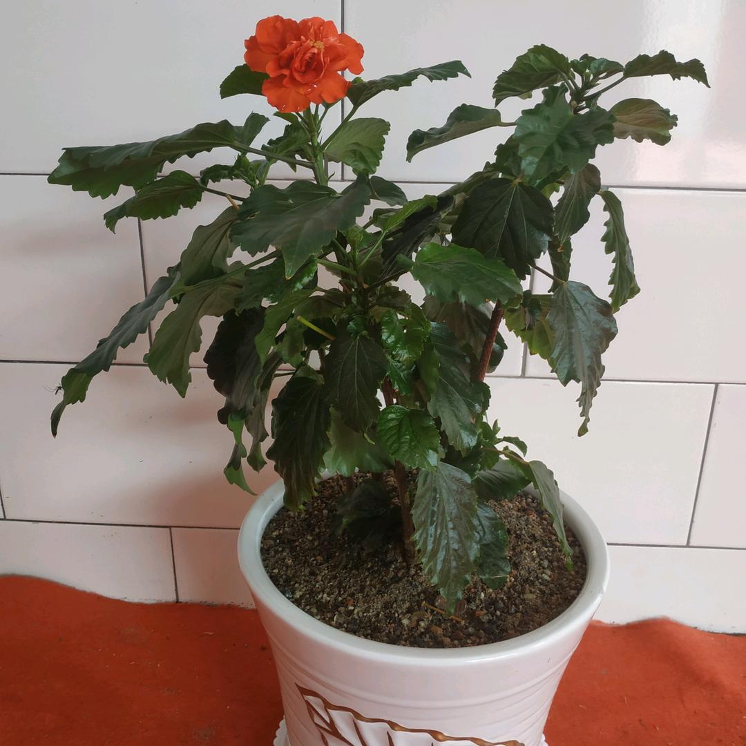 乔沟专业磨地面，切割水泥路面