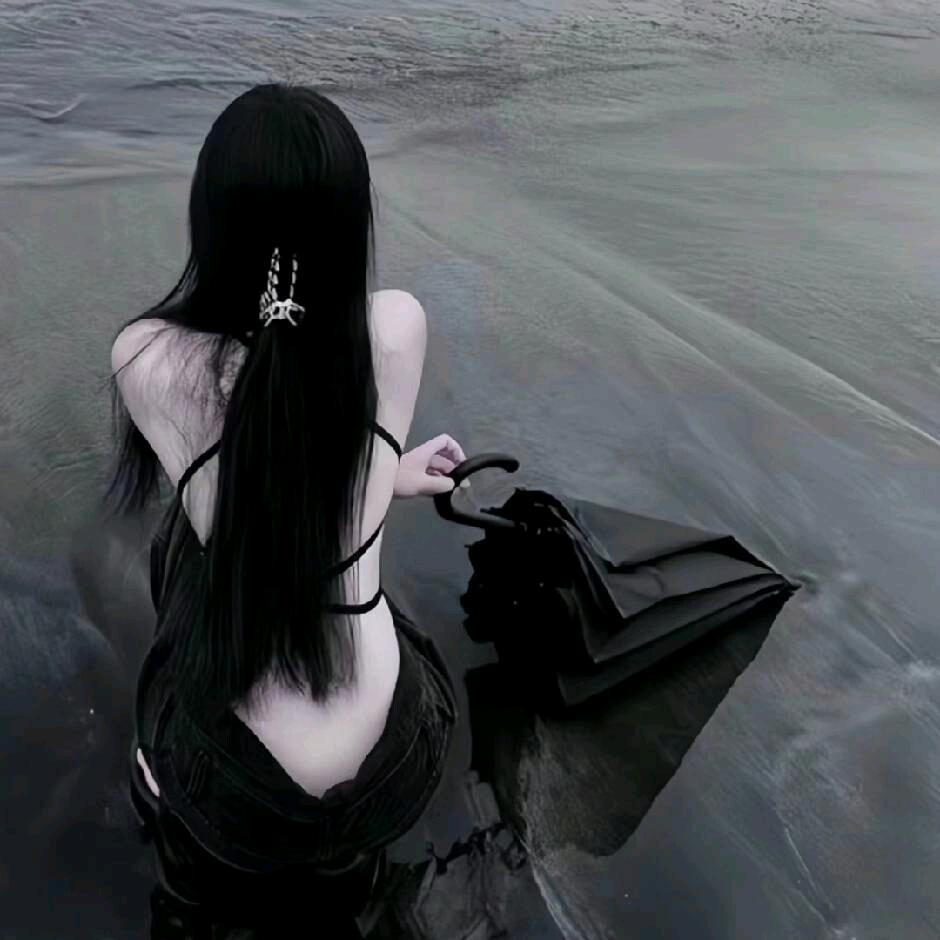 白苏.