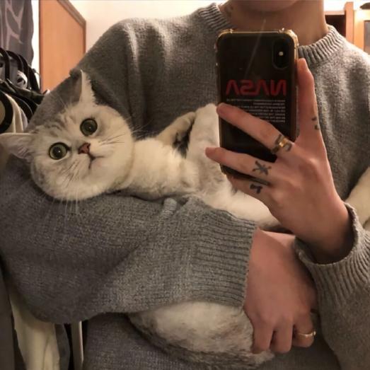 喜之郎果冻