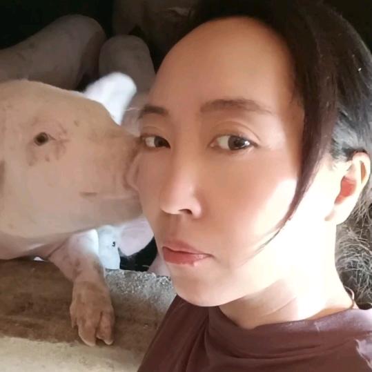 农村《田妹儿》