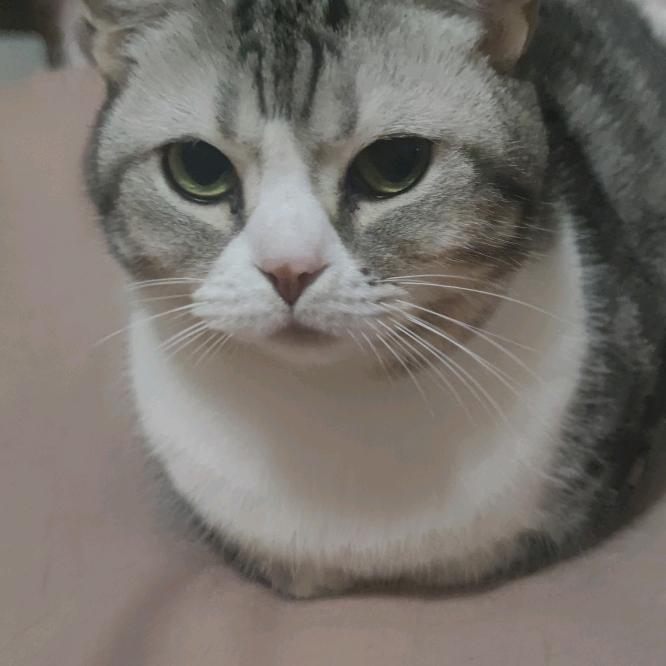 洗发香波儿
