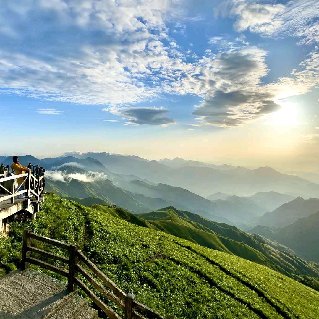 陈语默