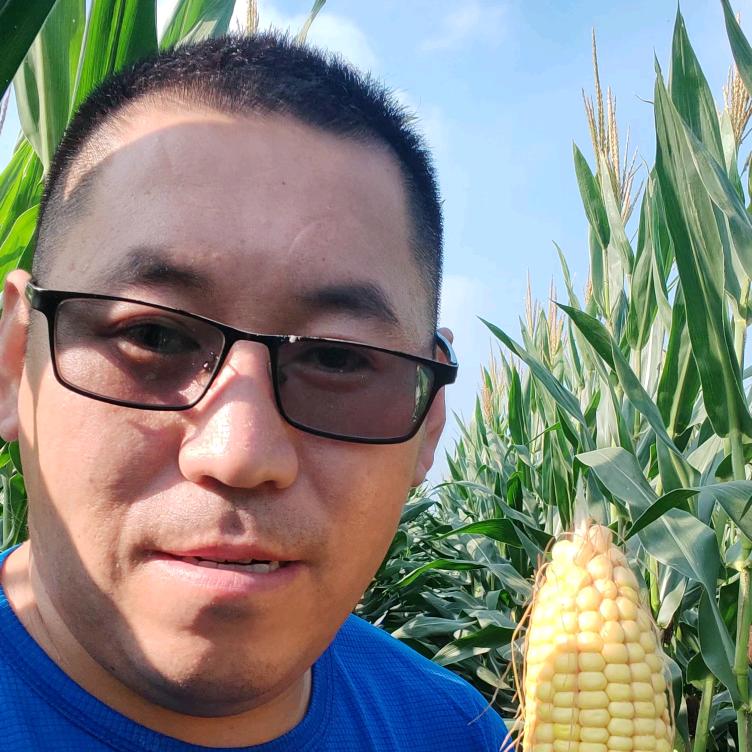 小超--高密穗增农业